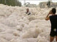 Uma cidade da Austrália ficou coberta por espuma do mar na segunda-feira (28). <b><a href="http://noticias.r7.com/internacional/fotos/cidade-australiana-fica-coberta-por-espuma-do-mar-28012013">Leia mais</a></b>