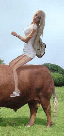 Reprodução/Expose Barbie