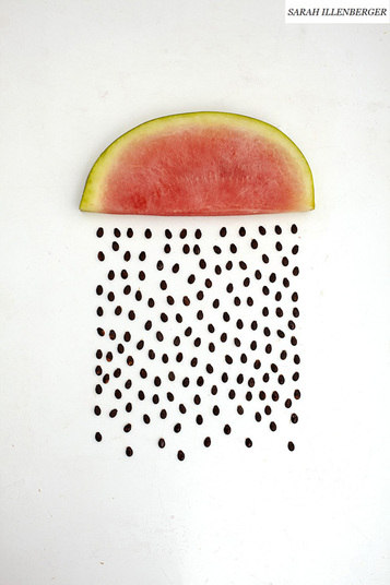 Divulgação/SaraHillenberger.com