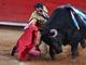 

O segundo touro de Padilla do dia foi Nenito (foto),
gigante de 550 kg. Segundo o diário Excelsior, Padilla castigou bastante o
animal com um “abate completo”

