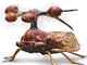 <a href="http://www.jornalciencia.com/meio-ambiente/animais/2365-inseto-mais-bizarro-do-mundo-e-brasileiro-afirmam-cientistas">Um dos insetos mais terrivelmente feios do mundo é brazuca!</a>