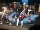 O cantor se equilibou de cabeça para baixo durante sua participação no show do Harmonia