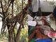 No dia 5 de fevereiro, moradores de um vilarejo espancaram e enforcaram em uma árvore um 
leopardo que havia devorado o rosto de um homem e atacado outras duas 
pessoas no vilarejo indiano de Choriyakhola Bisiondoi.Segundo a imprensa local, o felino entrou na casa do indiano Haren Roy 
(foto) e devorou o seu rosto. O leopardo também feriu outras duas 
pessoas da família de Haren, Gopal e Jatan. Todos ficaram em estado grave