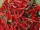 

O Carnaval chegou! E para garantir o pique na folia sem
prejuízo à saúde, o R7 indica para você alguns alimentos que são indicados para recuperar a energia. Afinal, ninguém quer perder nada da folia, não é mesmo?<br><br>Ao ingeri-los, você auxilia o seu organismo na diminuição da fadiga de maneira mais
saudável, evitando assim o uso de bebidas energéticas que podem causar
taquicardia e outros prejuízos, quando consumidas em excesso.<br><br>A pimenta, por exemplo, é uma delas, você sabia? Ela ajuda
a ativar o metabolismo e a melhorar a energia, aumentando a disposição
