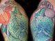 Vamos lá: quantos grupos alimentares diferentes você tem representados nesta tattoo?
