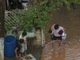 

Com
o período de <a href="http://noticias.r7.com/saude/fotos/agua-da-chuva-pode-transmitir-doencas-saiba-como-se-proteger-20022013">chuvas fortes e tempestades</a>, o cuidado de não entrar em contato
com a água contaminada deve ser redobrado. Para evitar o risco de contágio de
doenças infectocontagiosas, como a leptospirose, é importante não permitir que
crianças brinquem ou nadem na água e na lama das enchentes. Lavar as mãos,
limpar a casa e os objetos e ficar o menos tempo possível na água também ajudam a não contrair
infecções

