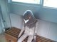 Desculpa, mas se eu dou de cara com um desses esperando o trem do metrô, eu volto correndo pra casa, gritando o nome da minha mãe