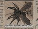 <a href="http://www.e-farsas.com/cientistas-descobrem-aranha-alada.html">Se você nunca teve pesadelos com aranhas voadoras, já é hora de começar. Antes, porém, veja se isso é uma farsa ou se é verdade clicando aqui</a>