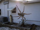 <a href="http://www.e-farsas.com/aranha-gigante-encontrada-na-australia-verdade-ou-farsa.html">Outra foto que causou discussão e mobilizou a internet mundo afora: essa aranha gigante colada na parede lateral de uma casa! Deu medo? Clique aqui e saiba toda a verdade!</a>