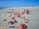 Você pararia para essa? Vários pacotes de Doritos perdido em uma praia na Carolina do Norte (EUA)