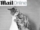 Uma coisa que os gatos não perderam com o passar do tempo foi a energia e a criatividade para aprontar