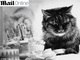 

Não pense que o fascínio por fotos de felinos é um fenômeno
moderno. Décadas antes da invenção da internet e das máquinas digitais, os
gatos já eram alvo dos fotógrafos.<br><br>O jornal inglês Daily Mail reuniu uma série de fotos do século
passado, que mostram os felinos em poses ótimas. Até mesmo uma versão do gato
mal-humorado foi encontrado


