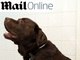 

A pesquisa realizada pela
entidade de proteção animal inglesa mostra que 29% dos donos de pet acreditam
estar deixando os bichos mais felizes com alimentos cheios de gordura e açúcar


