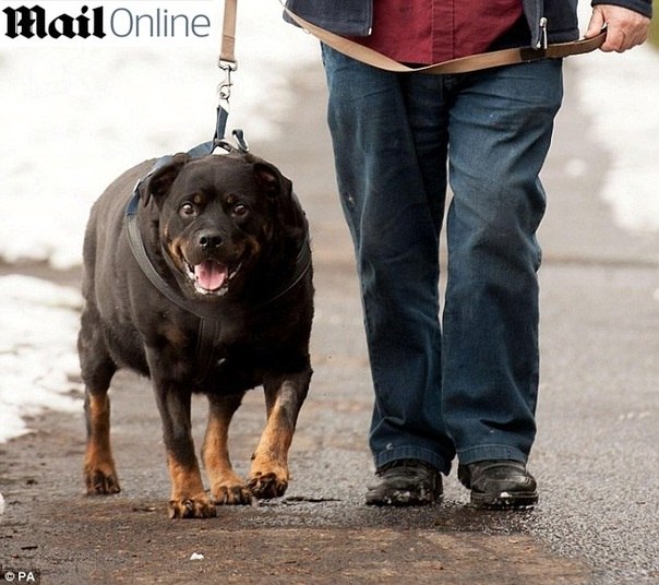 Reprodução/The Daily Mail