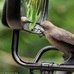 Caras e bocas! P&aacute;ssaro baba em sua pr&oacute;pria beleza refletida no ...