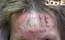 A regra é clara: se você sacanear um tatuador, não durma durante a sessão. Você pode sentir a fúria dele na sua pele!<br><br>VEJA AQUI:&nbsp;<a href="http://noticias.r7.com/esquisitices/fotos/estas-tatuagens-foram-feitas-como-vinganca-15052013#!/foto/1">Estas tatuagens foram feitas como vingança</a>