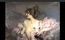 

O especialista
Oliver Choppin-Janvry disse que estava particularmente impressionado com um
quadro de uma mulher em um vestido rosa. Foi descoberto então que se tratava de uma obra do
século 19, do artista italiano Giovanni Boldini.
<br><br>Mais tarde, a bela mulher do
retrato foi identificada como a avó da senhora De Florian, Marthe, que tinha sido uma famosa atriz e musa do artísta