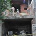 Casa onde menina foi estuprada e morta fica destru&iacute;da ap&oacute;s revolta ...