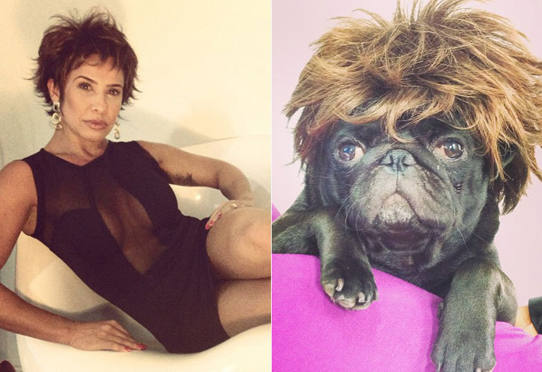 Scheila Carvalho aprontou uma bela pegadinha para cima de seus seguidores no Instagram.
Um dia após aparecer com os cabelos curtinhos e 
receber duras críticas pela mudança no visual, a morena usou a rede 
social para mostrar que tudo não passou de uma brincadeira