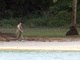 A presidente Dilma Rousseff (PT) também aproveitou a Praia de Inema, na Base Naval de Aratu, quando estava de férias em 2011