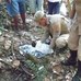 Casos de beb&ecirc;s abandonados por m&atilde;es ap&oacute;s parto causam ...