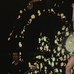 De barriga de fora, Claudia Leitte abusa da sensualidade em show ...