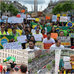 Manifesta&ccedil;&otilde;es de apoio aos protestos no Brasil tomam ruas pelo ...