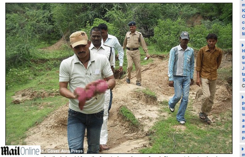 

A menina foi encontrada no dia 29 de junho por Radheshyam
Kevat e Jagdish Mangilal, que estavam trabalhando na área e ouviram o choro da
bebê.

 
'Nós ouvimos uns ruídos e pensamos que era de algum animal,
mas depois percebemos que se parecia com o choro de um bebê e fomos ver o que
estava acontecendo”, disse Jagdish.
— Ficamos muito chocados ao ver o bebê se mexendo e
rapidamente chamamos a polícia. É incrível o bebê tenha sobrevivido em uma área
cheia de animais selvagens como aquela