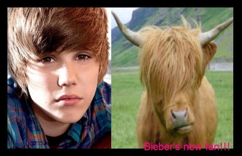 Justin Bieber: será que saiu daí a inspiração para o cabelo?