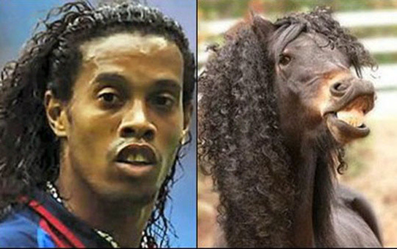 Você já viu alguma pessoa e achou ela parecida com um bicho? Nós já. E 
elas eram artistas. Veja a nossa galeria de celebridades que lembram 
bichos fofos e tire a prova. O Ronaldinho Gaúcho não é a cara de um cavalo sorridente?