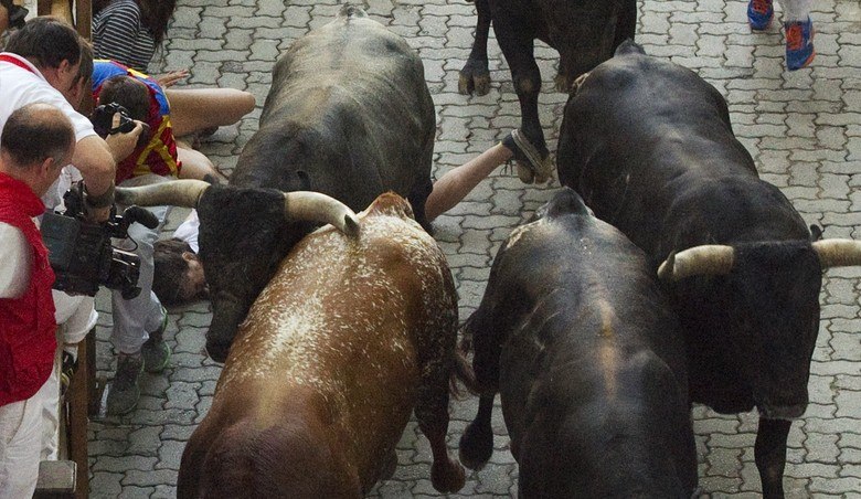 A jovem, que na foto aparece caída ao lado dos animais, foi chifrada por um touro da raça Miura