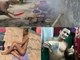Em Mato Grosso, Pará, Amazonas, Rio de Janeiro e Paraná, detentos postam imagens nas redes sociais
sem preocupação. Apesar de ser proibido o acesso a celulares e a internet em presídios, os
presos posam para fotos com dinheiro, churrasco e biquíni no banho de sol. O R7 mostra alguns dos casos denunciados pela Rede Record nos últimos meses