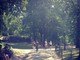 Durante o final de semana, as duas aproveitaram o final de Verão americano para passear pelo Central Park