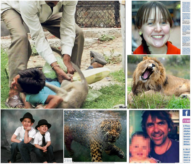 O ano ainda nem acabou, mas 2013 já está repleto de casos de ataques de animais em todo o mundo. Tubarões, macacos, hipopótamos e até mesmo um dragão-de-komodo fazem parte da lista de bichos responsáveis por mortes, ou ao menos por um grande susto, de pessoas em vários países.A seguir, veja alguns dos casos noticiados neste ano