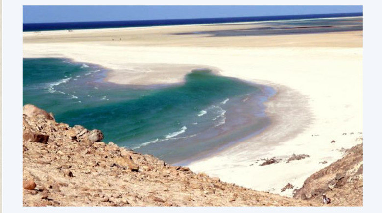 Entretanto,
o que mais chama a atenção é que o arquipélago é, em sua maior parte, quente e
seco – o que causa a aparência tão estranha de suas plantas