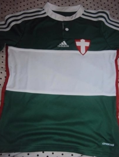 Verdão lança camisa e pede para torcida fazer música do centenário
