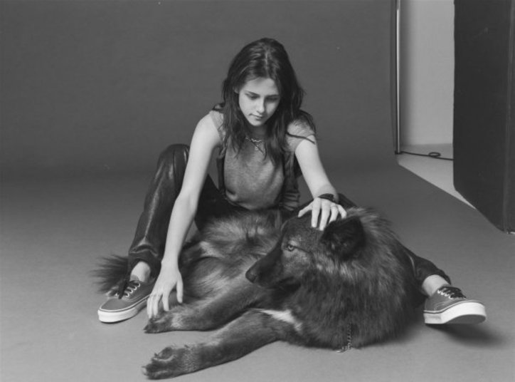 Kristen Stewart, diferente de cães e de gatos, escolheu um filhote híbrido de lobo para ser seu companheiro