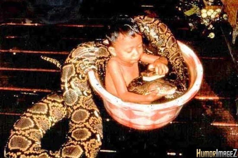 A semana acabou e as imagens bizarras estão só começando. Se liga em tudo que rolou e você não viu —ou até viu, mas quer ver de novo!