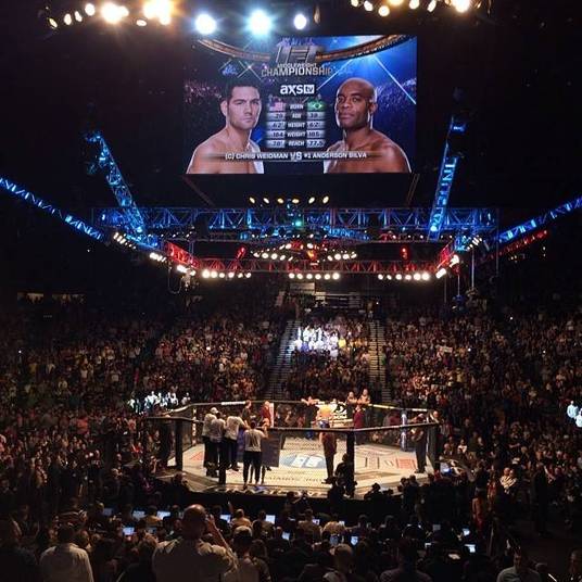 Esta foi a segunda derrota da carreira de Anderson no UFC, ambas para Chris Weidman