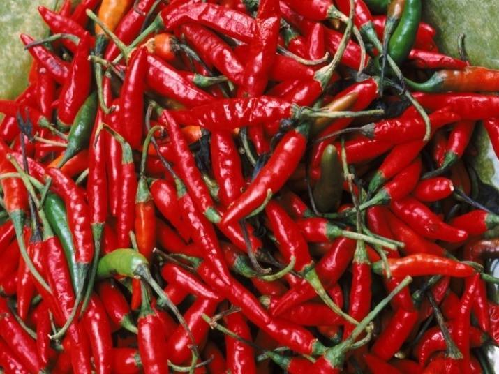 Parece que não, mas a pimenta vermelha é um dos alimentos que mais 'turbinam' o metabolismo. Segundo a nutricionista Vivian Goldberg, o ideal é consumir de 3 a 4 gramas ao dia, no tempero de pratos quentes e saladas. Para quem não está acostumado, existem outras opções que tem o mesmo efeito, e não deixam o 'ardidinho' na boca