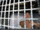Yan Chi Keung (foto), de 57 anos, vive em uma gaiola no chão com mais dois empilhados em cima dele. Paga cerca de R$ 400 (1.297 dólares de Hong Kong) por ano para viver no lugar 