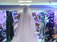 O Desfile Plus Size Mulheres Reais Inverno 2014 teve coleções das marcas Cassia Segeti, Ênfase Plus, Attribute Jeans, Bia Fashion Store, Adelante, Sporting Way e Edson Eddel