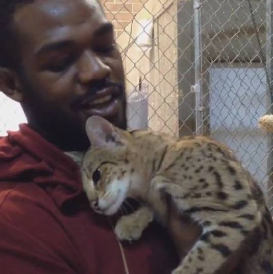 [THEORY] Jon Jones and Toxoplasmosis Sherdog Forums UFC, MMA