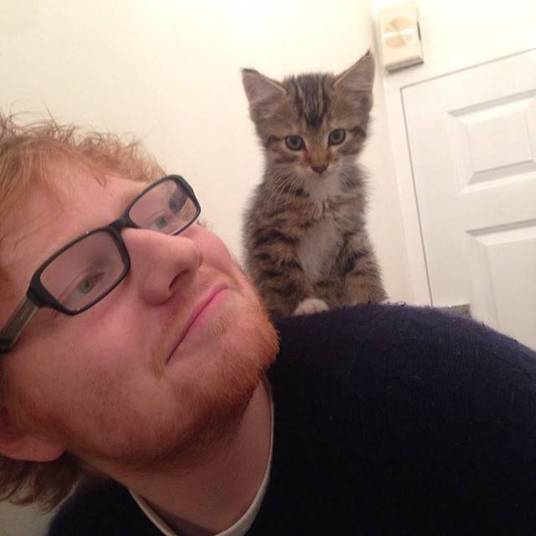 O fofinho Ed Sheeran prepara o lançamento de um novo CD para o dia 23 de junho. Chamado X, o álbum já conta com seu primeiro single, a poderosa e envolvente Sing. Ele também já divulga a música inédita Don't, que muita gente afirma se tratar de um desabafo sobre uma possível traição de Ellie Goulding, sua ex-namorada, com Harry Styles, da banda One Direction. Eita! Promete esse CD, hein? O fofinho Ed Sheeran prepara o lançamento de um novo CD para o dia 23 de junho. Chamado X, o álbum já conta com seu primeiro single, a poderosa e envolvente Sing. Ele também já divulga a música inédita Don't, que muita gente afirma se tratar de um desabafo sobre uma possível traição de Ellie Goulding, sua ex-namorada, com Harry Styles, da banda One Direction. Eita! Promete esse CD, hein?