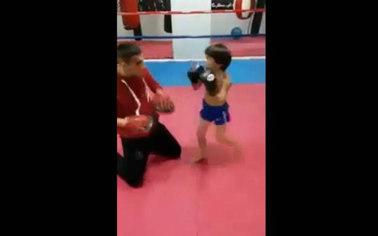Um vídeo de um garoto treinando artes marciais viralizou nas redes sociais. O menino impressionou com os golpes dados no treinador e ganhou o apelido de 'filho perdido do Bruce Lee'. Nenhuma informação foi divulgada sobre a identidade do pequeno lutador