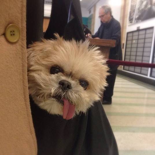 Marnie tem 12 anos e mora em Nova York Marnie tem 12 anos e mora em Nova York
