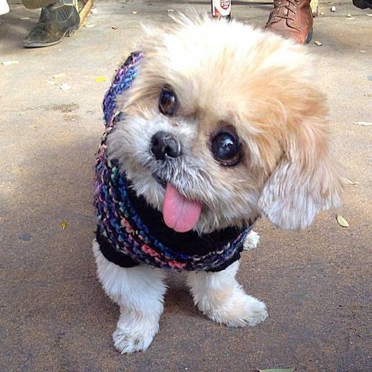 Marnie tem quase três mil seguidores nas redes sociais e suas fotos são curtidas por muita gente Marnie tem quase três mil seguidores nas redes sociais e suas fotos são curtidas por muita gente