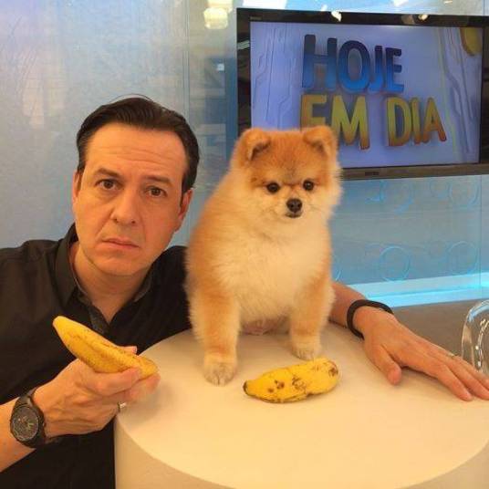 O apresentador do programa Hoje em Dia, da TV Record, Celso Zucatelli, aderiu à campanha junto de seu companheiro Paçoca O apresentador do programa Hoje em Dia, da TV Record, Celso Zucatelli, aderiu à campanha junto de seu companheiro Paçoca