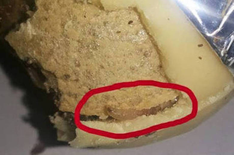 Na última semana, a analista de comunicação Paola Marcela Neves encontrou uma surpresa desagradável em um chocolate que ganhou. Ao abrir um bombom Ouro Branco, ela viu larvas saindo de dentro do produto. Leia a matéria completa sobre este casoRelembre outros casos de esquisitices encontradas por consumidores do DF Na última semana, a analista de comunicação Paola Marcela Neves encontrou uma surpresa desagradável em um chocolate que ganhou. Ao abrir um bombom Ouro Branco, ela viu larvas saindo de dentro do produto. Leia a matéria completa sobre este casoRelembre outros casos de esquisitices encontradas por consumidores do DF
