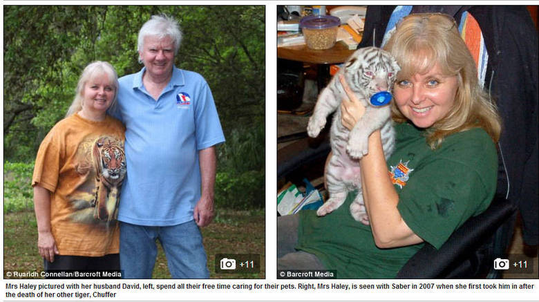 Dois
anos depois de deixar o seu emprego, ela chegou em casa com Chuffer, um dos filhotes que habitou sua casa